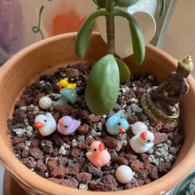 Laden Sie das Bild in den Galerie-Viewer, Gelbe Mini-Ente Dekoration