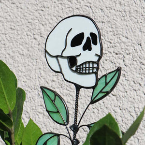 Frühes Halloween💀Totenkopf-Buntglaspflanze