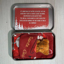 Laden Sie das Bild in den Galerie-Viewer, Weihnachts-Plüschbär-Geschenk