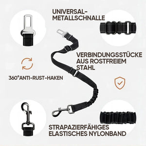 Autosicherheitsgurte für Haustiere