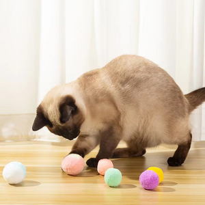 Interaktives Spielzeug für Katzen