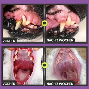 Zahnreinigungsspray für Hunde und Katzen