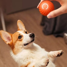 Laden Sie das Bild in den Galerie-Viewer, Automatischer intelligenter Hundeball🐶