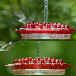 Kolibri-Futterspender zum Aufhängen im Freien