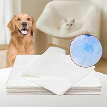 Laden Sie das Bild in den Galerie-Viewer, Hundeurin absorbierendes Papier🐶