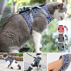 Geschirr und Leine der Katzenweste zum Gehen im Freien
