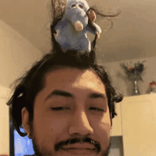 Laden Sie das Bild in den Galerie-Viewer, Koch Ratatouille Haarband Plüsch