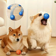 Laden Sie das Bild in den Galerie-Viewer, Elektrischer rollender Haustier-Spielzeugball