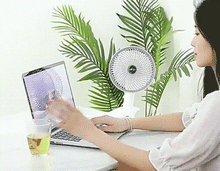 Laden Sie das Bild in den Galerie-Viewer, USB-Mini-Ventilator zum Anstecken