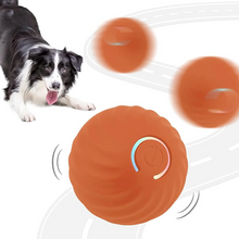 Laden Sie das Bild in den Galerie-Viewer, Elektrischer rollender Haustier-Spielzeugball