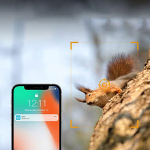 Laden Sie das Bild in den Galerie-Viewer, Solarbetriebene Tarnkamera