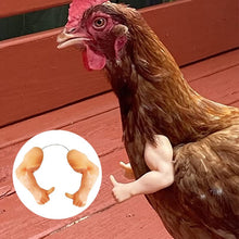 Laden Sie das Bild in den Galerie-Viewer, Dekorative Hühnerarme, lustige Tierkostüme