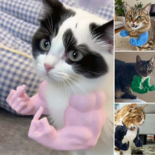 Laden Sie das Bild in den Galerie-Viewer, 3D-gedruckter Katzenhals-Arm mit Muskel