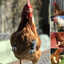 Laden Sie das Bild in den Galerie-Viewer, Dekorative Hühnerarme, lustige Tierkostüme