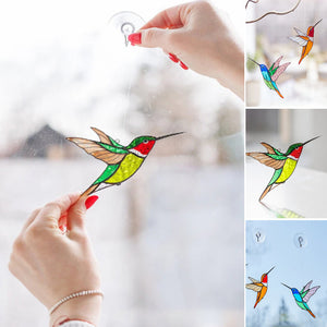 Kolibri Sonnenfänger Fenster