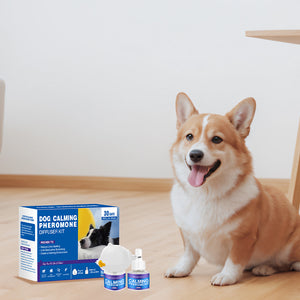 Pheromon-Diffusor-Set zur Beruhigung von Haustieren (Katze & Hund)