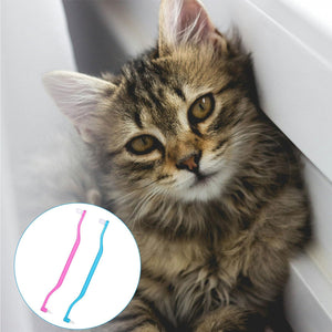 Mini-Zahnbürste für Katzen