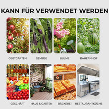 Laden Sie das Bild in den Galerie-Viewer, Hängende klebrige Fruchtfliegenfalle zum Schutz der Umwelt