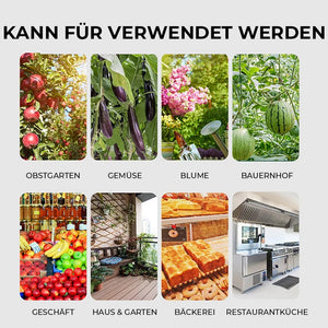 Hängende klebrige Fruchtfliegenfalle zum Schutz der Umwelt