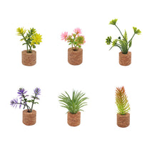 Laden Sie das Bild in den Galerie-Viewer, Mini Dimensional Simulierte Sukkulente Auto Clip Kühlschrank Aufkleber