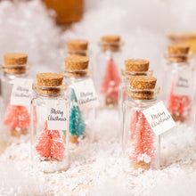 Laden Sie das Bild in den Galerie-Viewer, Weihnachtskarte in einer Flasche