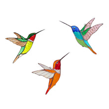 Laden Sie das Bild in den Galerie-Viewer, Kolibri Sonnenfänger Fenster