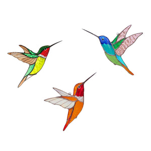 Kolibri Sonnenfänger Fenster