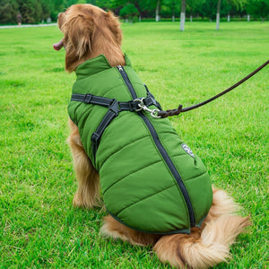 Wasserdichte Winterjacke für Hunde