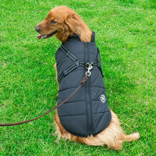 Laden Sie das Bild in den Galerie-Viewer, Wasserdichte Winterjacke für Hunde