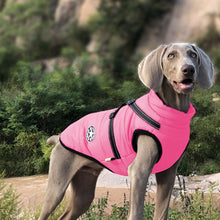Laden Sie das Bild in den Galerie-Viewer, Wasserdichte Winterjacke für Hunde