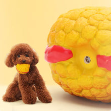 Laden Sie das Bild in den Galerie-Viewer, klingendes Spielzeug aus Latex für Haustiere