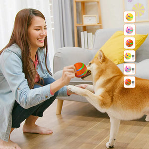 Intelligenter Haustierball