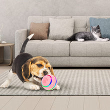 Laden Sie das Bild in den Galerie-Viewer, Intelligenter Haustierball