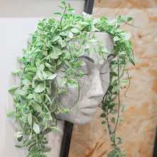 Laden Sie das Bild in den Galerie-Viewer, Wandmontierter Gesichtsblumentopf aus Kunstharz