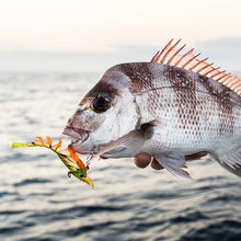 Laden Sie das Bild in den Galerie-Viewer, Realistischer Köder In Garnelenform