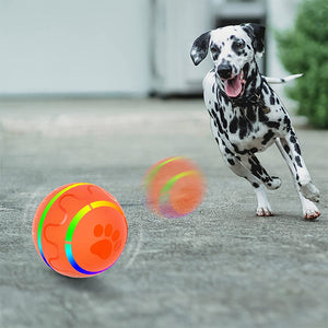 Intelligenter Haustierball