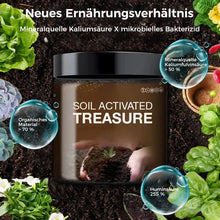 Laden Sie das Bild in den Galerie-Viewer, Bodenaktivierung Lösung