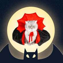Laden Sie das Bild in den Galerie-Viewer, Halloween-Haustierumhang