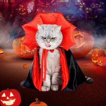 Laden Sie das Bild in den Galerie-Viewer, Halloween-Haustierumhang