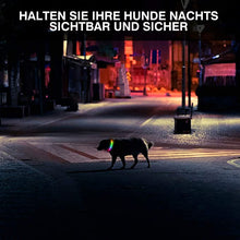 Laden Sie das Bild in den Galerie-Viewer, Wiederaufladbares Leuchtendes Halsband Für Haustiere