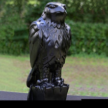 Laden Sie das Bild in den Galerie-Viewer, Kreativer Adlerschmuck aus Harz