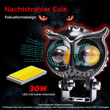 Laden Sie das Bild in den Galerie-Viewer, Modifizierte Strahler-Eulenlampe