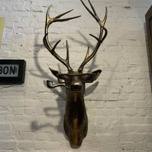 Laden Sie das Bild in den Galerie-Viewer, Anhänger aus Kunstharz mit Tierkopf