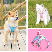 Laden Sie das Bild in den Galerie-Viewer, Brustgurt für Haustiere