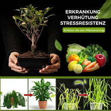 Laden Sie das Bild in den Galerie-Viewer, Bodenaktivierung Lösung