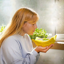 Laden Sie das Bild in den Galerie-Viewer, Geschirrständer zum Erhitzen von Speisen in der Mikrowelle