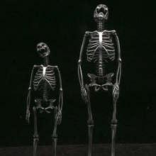 Laden Sie das Bild in den Galerie-Viewer, Ganzkörper Skelett Anhänger