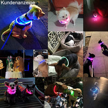 Laden Sie das Bild in den Galerie-Viewer, Wiederaufladbares Leuchtendes Halsband Für Haustiere