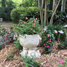 Laden Sie das Bild in den Galerie-Viewer, Lustiger Ausdrucksblumentopf