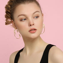 Laden Sie das Bild in den Galerie-Viewer, Glänzende Zirkon Ohrringe